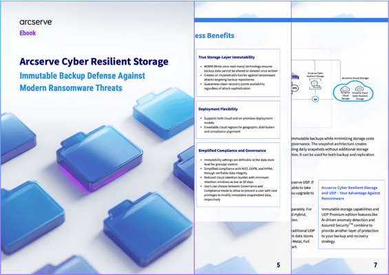 CRS White Paper Page Preview Illustration