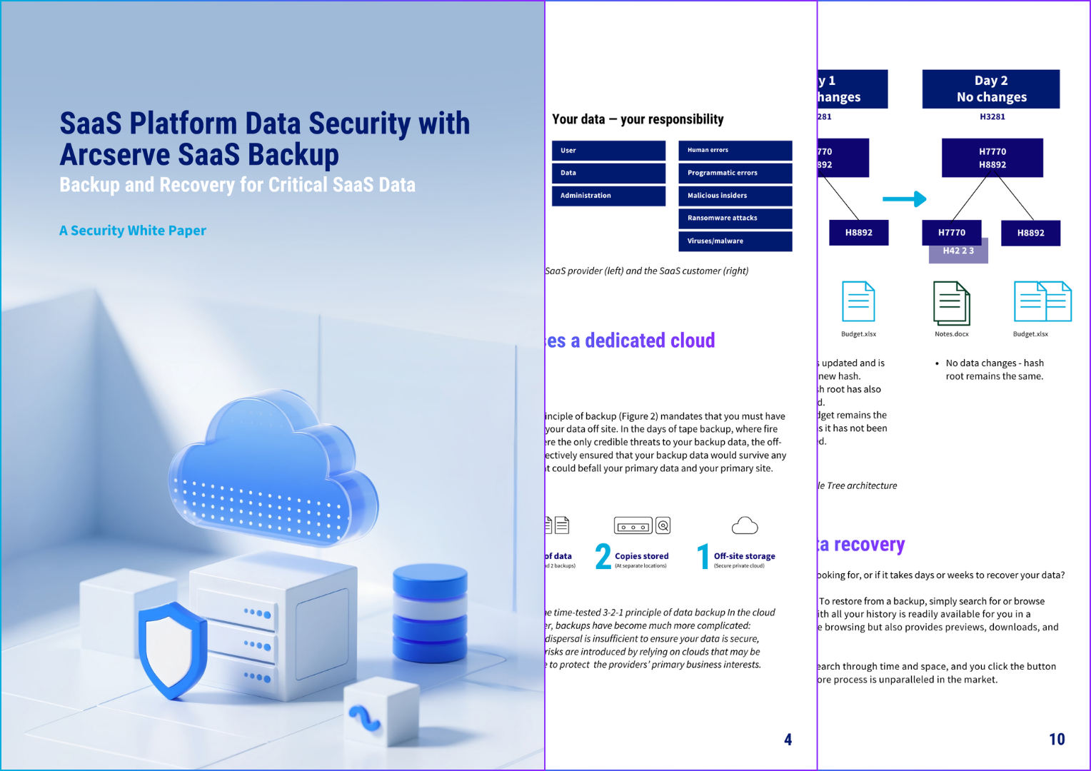 CRS White Paper Preview Image (1)